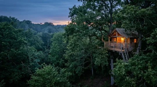 Cabane perchée nichée dans une forêt française au crépuscule, entourée de nature luxuriante